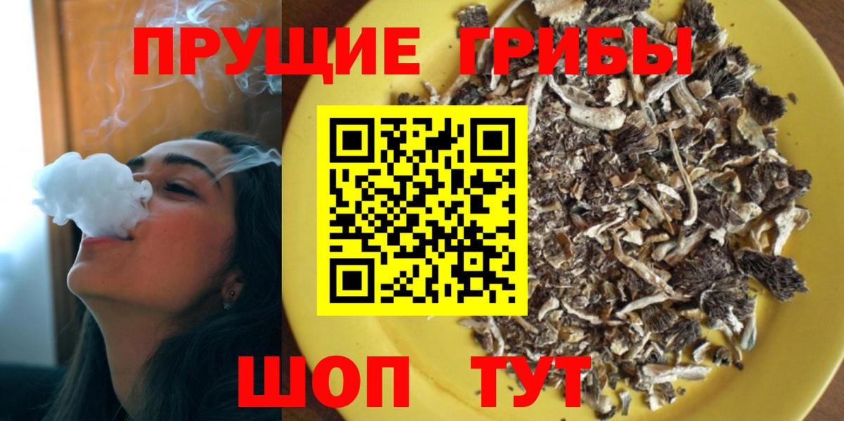 Карпинск  Псилоцибиновые грибы MAGIC MUSHROOMS  Вход с VPN 
