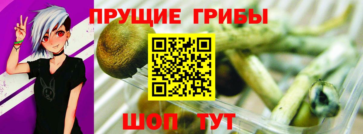 Галлюциногенные грибы MAGIC MUSHROOMS Карпинск